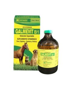 Galmevit b1 100 ml