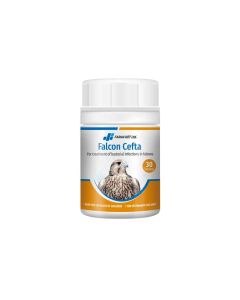Falcon Cefta (30 Tablets)