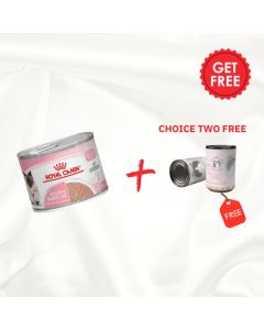 Royal Canin Feline Health Nutrition Mother & Babycat Mousse (Wet Food - Cans) 12 x 195 g