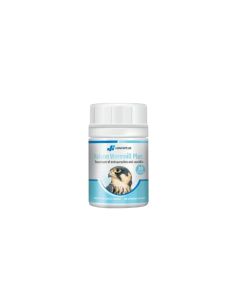 Falcon Wormnil (30 Tablets)