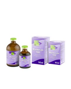 Marbosan-100 Injection 100ml