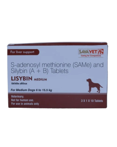 LISYBIN MEDIUM