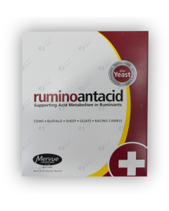 Rumino antacid 100 g