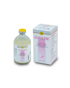 Cloxalene plus 