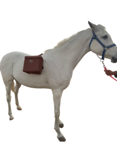 Horse Bag