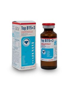 Top b15+3