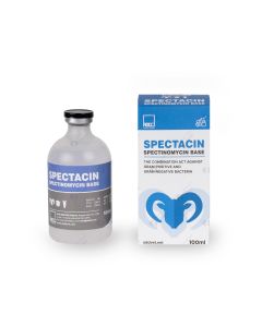 Spectacin 100 ml
