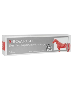 R-BCAA PASTE