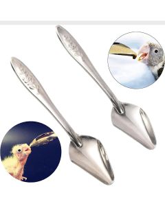 Stainless Steel Bird Feeding Spoon 1pc