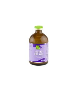 Intrafer 200 B12 100ml