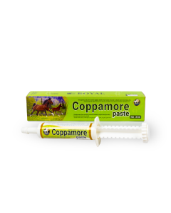 Coppamore 