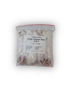 Large weaner rats 60-90 g