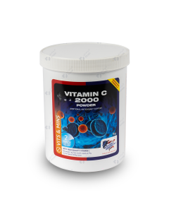 Vitamin C 2000 1 kg 
