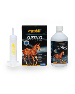 Ortho foals 500 ml 