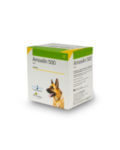 Amoxilin 500 