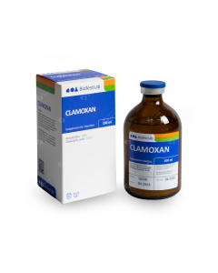 Clamoxan 100 ml