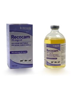 Recocam