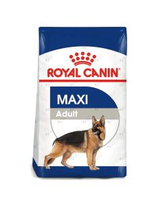 Maxi Adult 4 kg