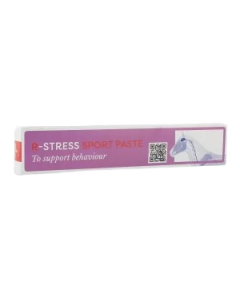 R-STRESS SPORT PASTE