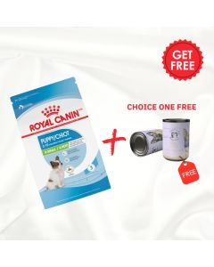 Royal Canin Feline Health Nutrition XS Puppy Dry Food 1.5kg