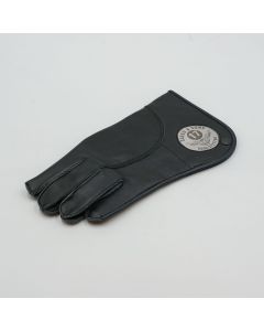 DS leather color black