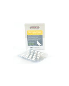 Versele-Laga Trichocure – Ronidazole 5mg (40 Tablets)