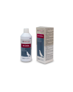 B-chol 500 ml