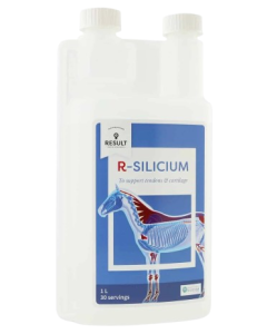 R-SILICUM
