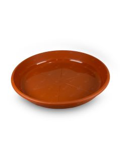 Small water plate