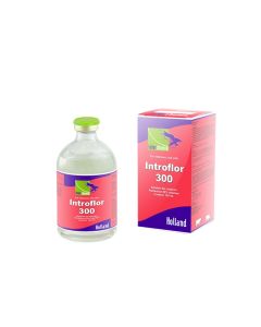 Introflor 300 100ml