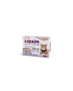 Moxim for cats from 4 to 8 kg per tube