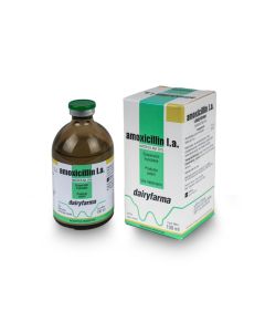 amoxicillin l.a 100 ml