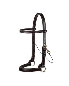 Victor Supreme Arab Training Halter W/Browband YR