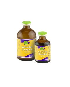Introvit B Complex Injection 100ml