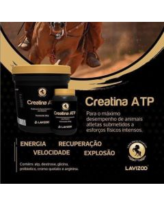 CREATINA ATP