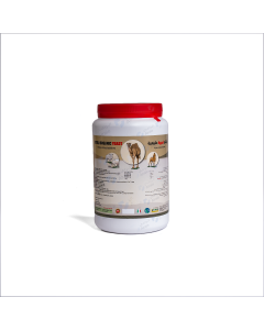 Vetlo organic yeast 1 kg