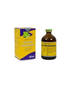 INTROVIT-B-COMPLEX 100ML