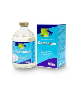 Castralgin 100 ml