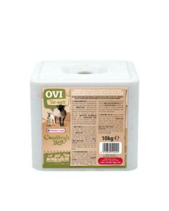 Versele-Laga CB Salt Lickstone 10KG