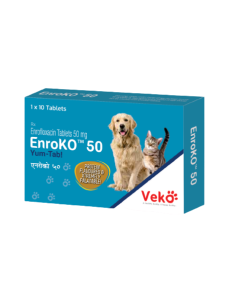 ENROKO 50