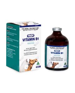 Troy vitamin B1 - 100 ml