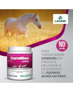 CARNITINA