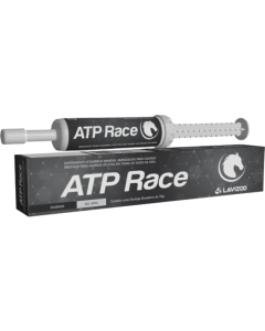 ATP RACE