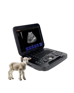 Sonar test