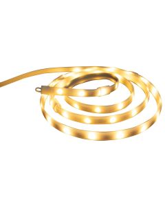 Bulb Holding