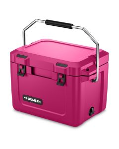 Ice box for trips