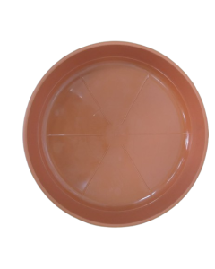 Plastic Plate Size (M) 