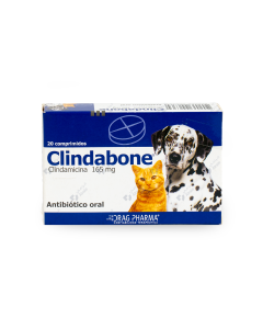 Clindabone 165 mg 