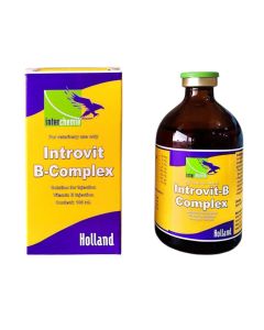 INTROVIT-B-COMPLEX 100ML