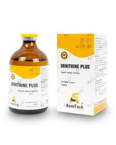 Ornithine Plus 100 ml